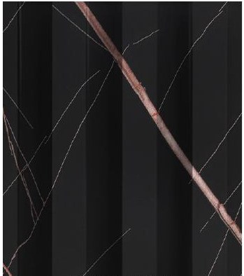 SXCWB-170-Y44 — Interior WPC wall panel finish