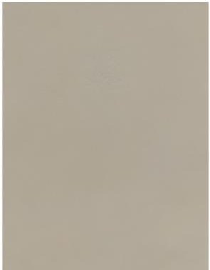 CARBON SHEET 02 — Carbon Sheet wall panel finish